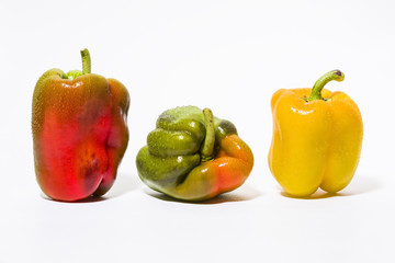 Drei Paprika in Rot Grün und Gelb in einer Reihe stehend mit Wassertropfen