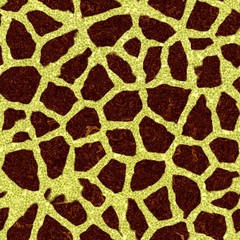 Decorative stones of different shapes - pattern 