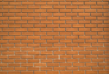Fototapeta premium Texture brick wall