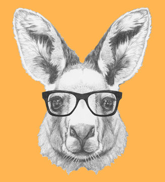 Portrait of Kangaroo with glasses. Hand drawn illustration.
