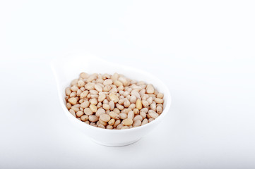 Pine nuts on backgraund