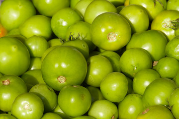 Background of groups of immature tomato market. Agriculture