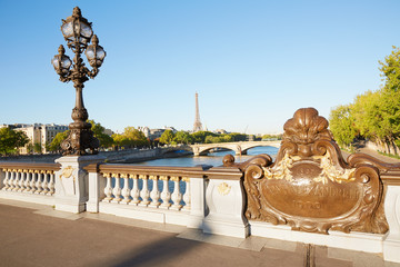 Fototapeta na wymiar Pont Alexandre III bridge balustrade with Eiffel tower in Paris