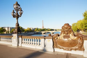 Photo sur Plexiglas Pont Alexandre III Pont Alexandre III bridge balustrade with Eiffel tower in Paris
