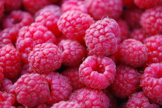 Raspberries
