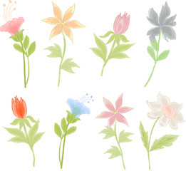 Vector watercolor flowers on a white background.