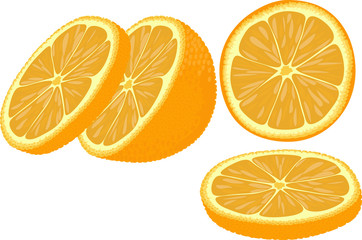 Vector illustration of orange slices at different angles. - 96818477