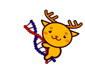 DNAと動物シリーズ