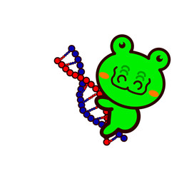 DNAと動物シリーズ