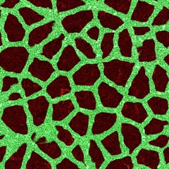 Decorative stones of different shapes - pattern 