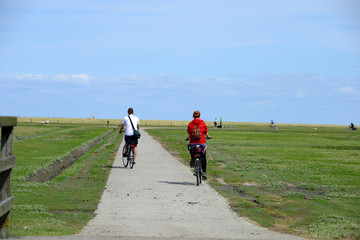 Fahrradfahrer an der Nordsee