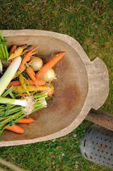 Vegetables on the wood plate