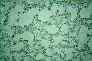Green wall background texture