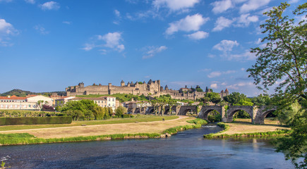 Fototapeta na wymiar Vue de Carcassonne
