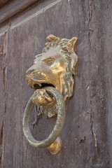 Animals symbols in archutecture