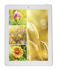 Tablet PC with images of nature objects, isolated on white