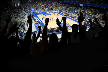 Silhouette of a group of spectators at a professional basketball game cheering for their team