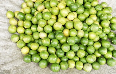 Pile of lime