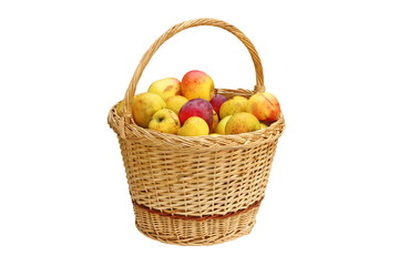 trellis basket full of bio apples