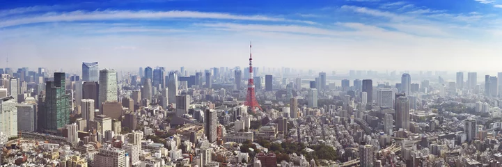 Abwaschbare Fototapete Tokio Skyline von Tokio, Japan mit dem Tokyo Tower, von oben