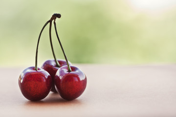 Three perfect fresh cherries