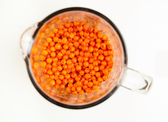 sea-buckthorn in blender bowl