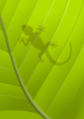 Gecko silhouette on a green leave