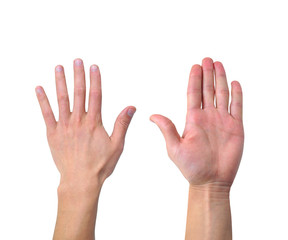 Front and back of the hand on white background