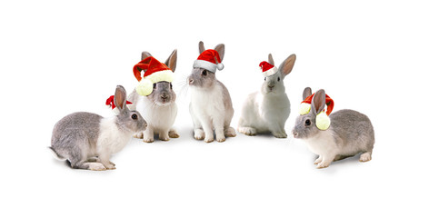 Christmas rabbits