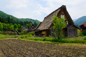 Fototapeta na wymiar Historic Village of Shirakawa-go in spring