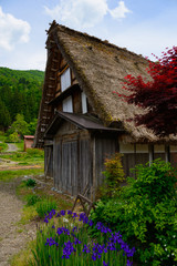 Fototapeta premium Historic Village of Shirakawa-go in spring