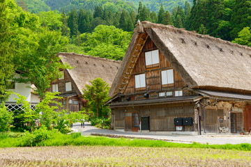 Plakat Historic Village of Shirakawa-go in spring