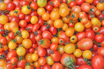 Cherry tomato vegetables