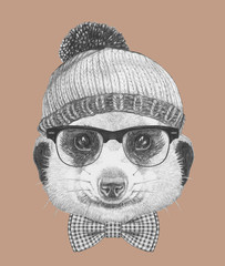 Portrait of Hipster Animal. Mongoose with glasses, hat and bow tie. Hand drawn illustration. 