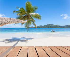 cocotier penché et ponton sur plage des Seychelles  - obrazy, fototapety, plakaty