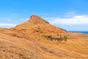 Madeira mountain landscape - ranch in desert with palms