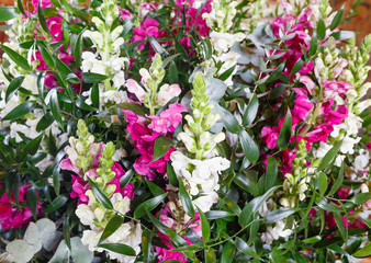 Fototapeta na wymiar Big wonderful lupine flowers bouquet