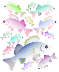 Kussenhoes bright fish © evgeniyorel