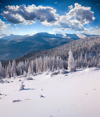 Sunne morning scene in the winter mountain.