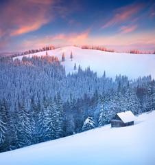 Colorful winter scene in the Carpathian mountains.