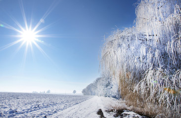 Winterlandschaft mit Rauhreif, Sonne und blauem Himmel, copyspace, 