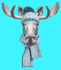 Portrait of Moose with hat and scarf. Hand drawn illustration.