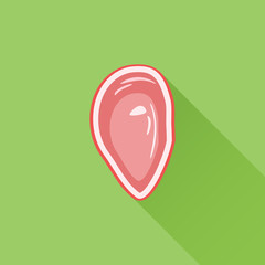 Fresh piece of meat, steak flat icon