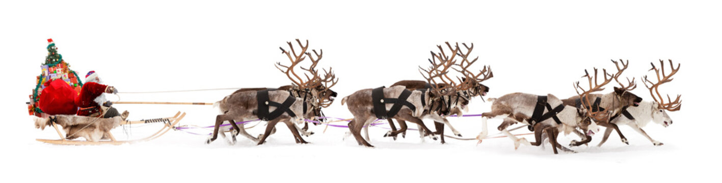 Santa Claus is sitting in a deer sleigh