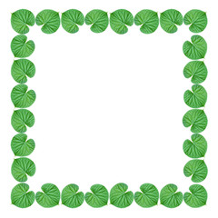 Green leaf frame on white background.