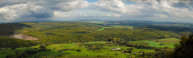 Obraz premium Pfälzer Wald