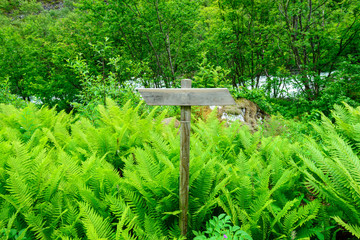 A simple wooden trail sign for hikers in forest in Norway, Europe