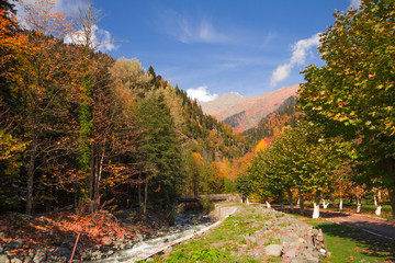 Autumn landscape Caucasus
