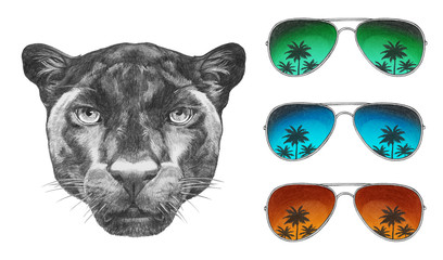 Portrait of Panther with mirror sunglasses. Hand drawn illustration.