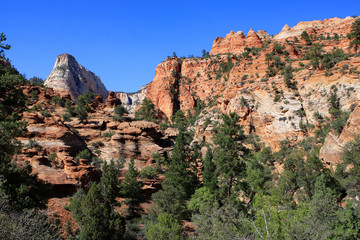 Fototapeta na wymiar Red mountains in Zion National Park, Utah, United States